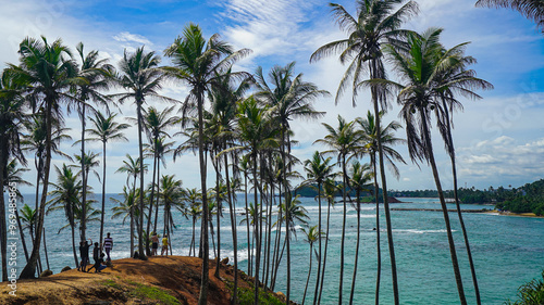 Coconut tree hill in Mirissa, Sri Lanka