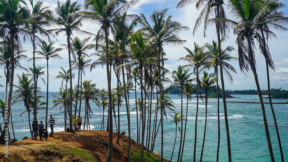 Coconut tree hill in Mirissa, Sri Lanka Coconut tree hill in Mirissa, Sri Lanka