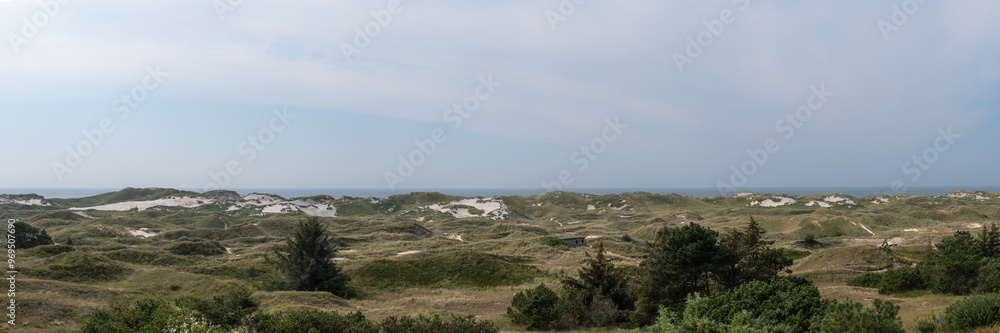 Dünen auf der Insel Amrum in Friesland an der Nordsee Dünen auf der Insel Amrum in Friesland an der Nordsee