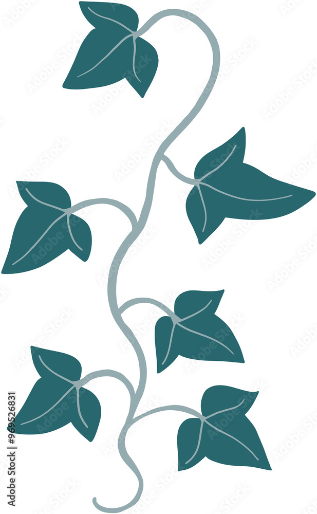 ivy plant drawing illustration. ivy plant drawing illustration.