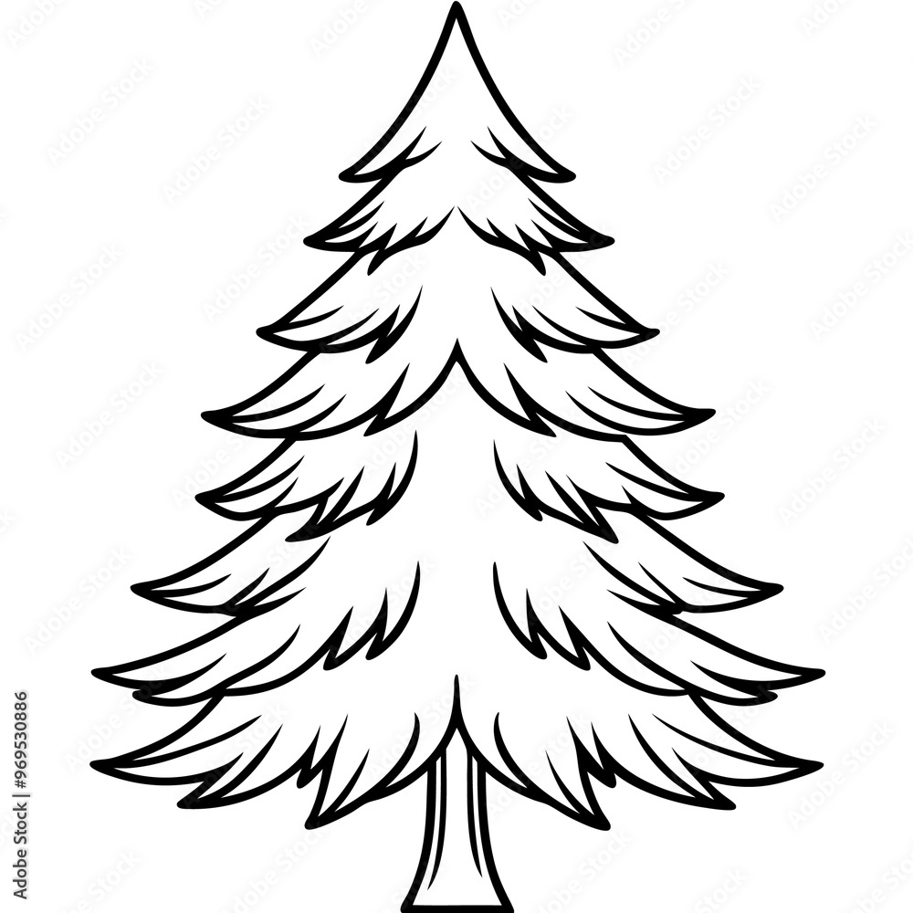 pine tree outline coloring book page line art drawing pine tree outline coloring book page line art drawing