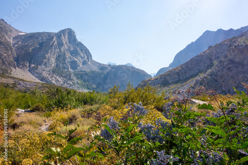 Views of tall jagged mountain peaks, large pine forests, rivers and streams, valleys and feilds, while backpacking through the John Muir Wilderness outside of Big Pine, CA.