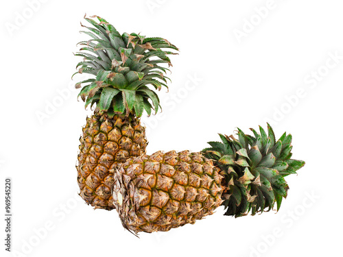 Two Whole Pineapples One Upright and One Lying PNG on white isolated background