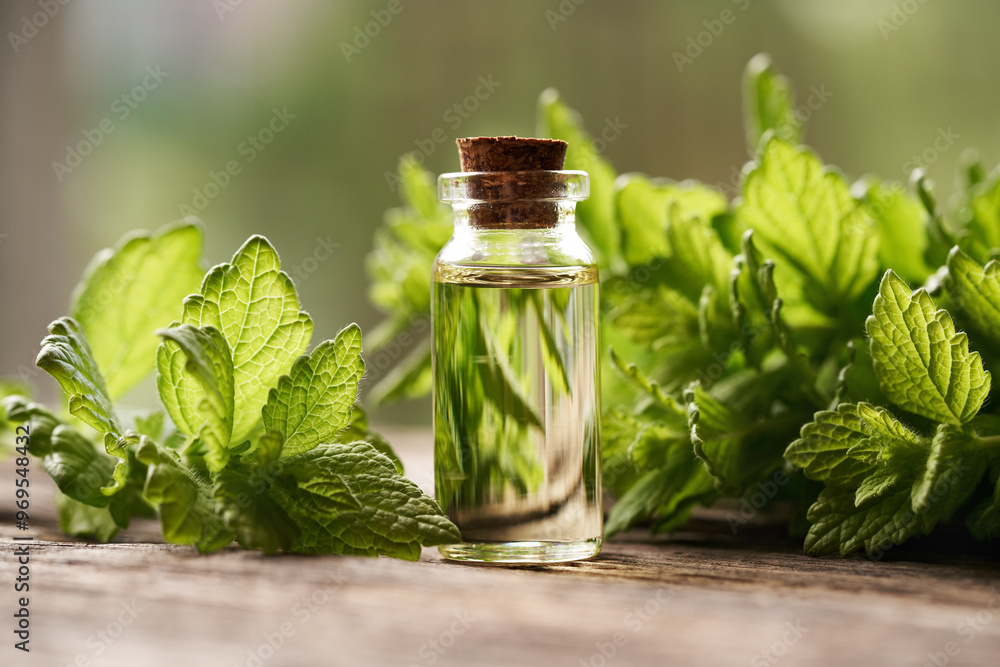 A bottle of aromatherapy essential oil with fresh melissa leaves A bottle of aromatherapy essential oil with fresh melissa leaves