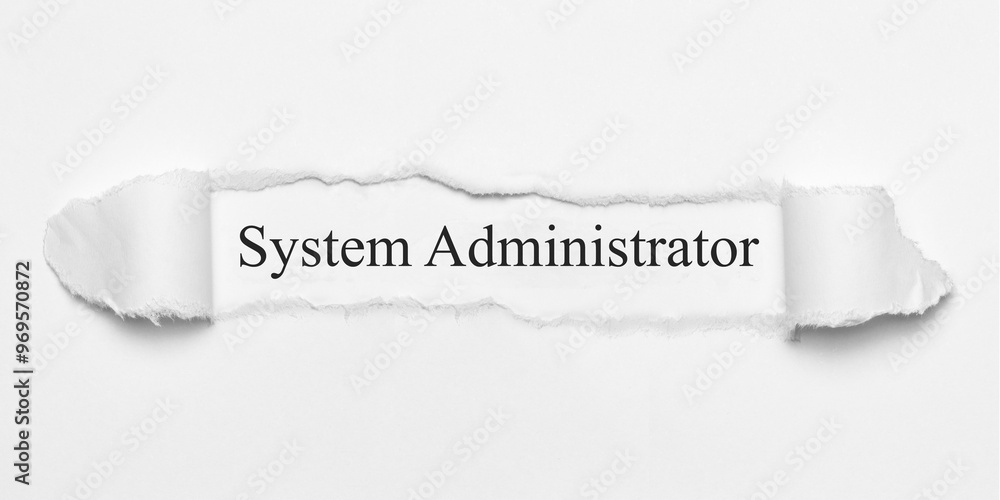 Obraz premium System Administrator
