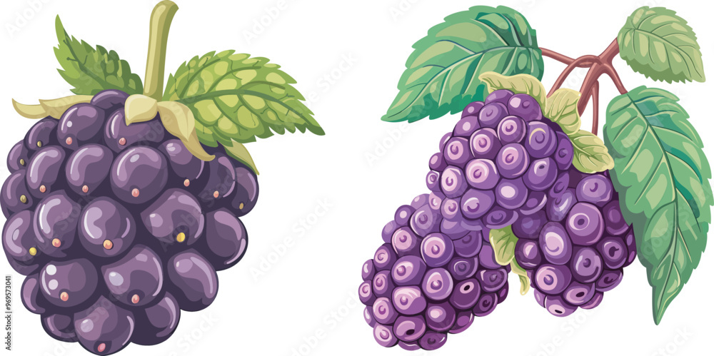 Fototapeta premium Ripe Blackberries with Green Leaves Freshly Picked Sweet and Juicy Blackberries Organic Fruit Healthy Eating Vegan Food Source of Vitamins Blackberry Illustration Digital Art Graphic Design Element