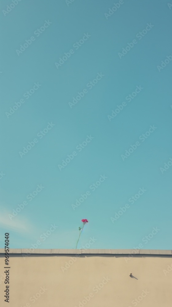 Flower on building sky outdoors horizon. Flower on building sky outdoors horizon.