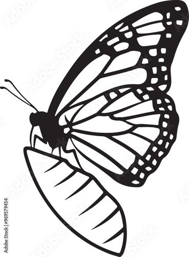 butterfly side view silhouette design vector art illustration