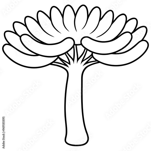 sausage tree outline coloring book page line art drawing photo