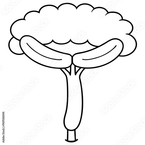 sausage tree outline coloring book page line art drawing photo