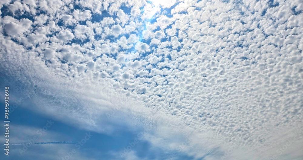 Obraz premium Open Sky Background
