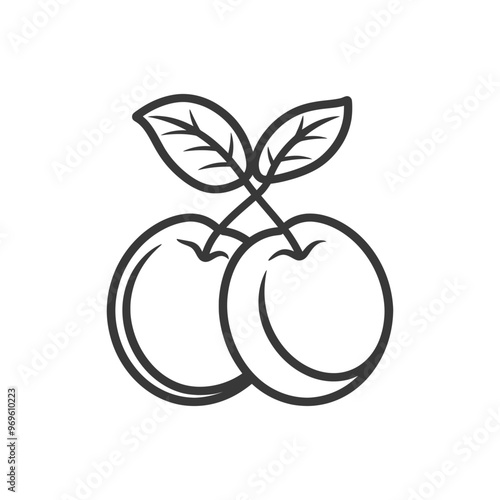 Two Plums with Stem and Leaves Line Art Illustration
