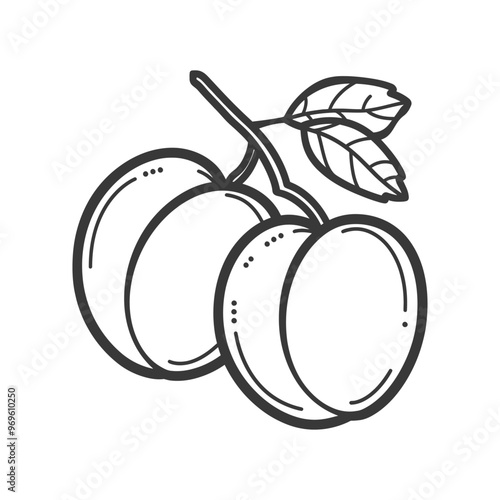 Two Plums with Stem and Leaf in Line Art