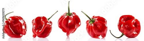 Red Savina habanero pepper isolated on white background. Is a variety of chili pepper have a heat rating of 350,000 — 577,000 Scoville units
