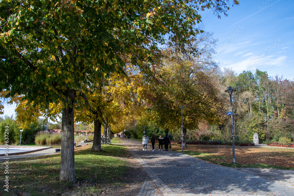autumn park with yellow trees and yellow grass in ingolstadt city bavaria germany autumn park with yellow trees and yellow grass in ingolstadt city bavaria germany