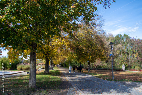 autumn park with yellow trees and yellow grass in ingolstadt city bavaria germany