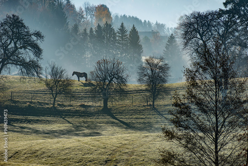 Herbstnebel photo