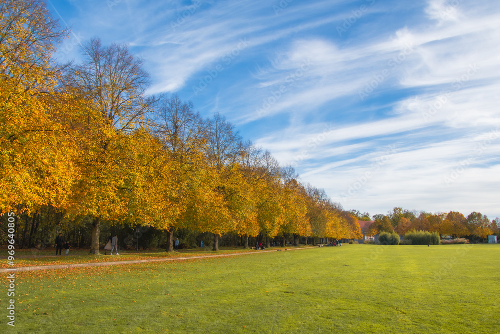 autumn park with yellow trees and yellow grass in ingolstadt city bavaria germany autumn park with yellow trees and yellow grass in ingolstadt city bavaria germany