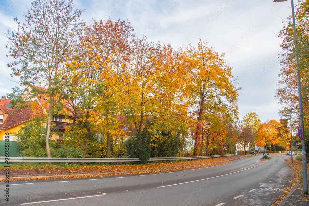 Ingolstadt, beautiful autumn view in the park Ingolstadt, beautiful autumn view in the park