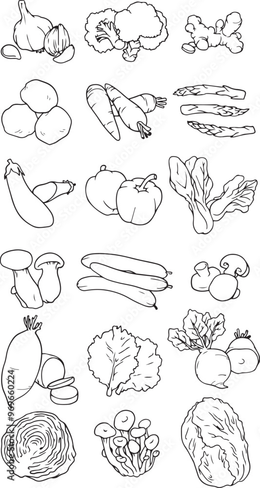 Fototapeta premium Vegetables set. Basic vegetables thin line icons, Doodles elements vegetables and fruits. Vegetarian food