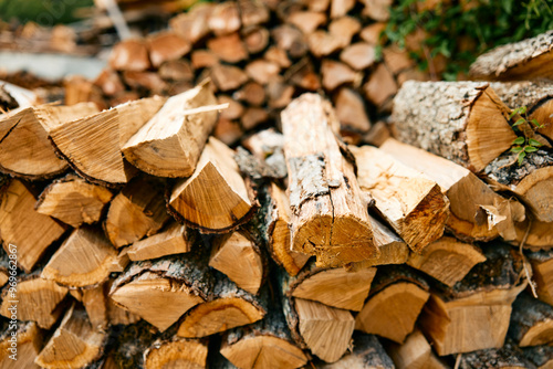 Fotografie rustic woodpile and logs in natural setting with green bush in background
