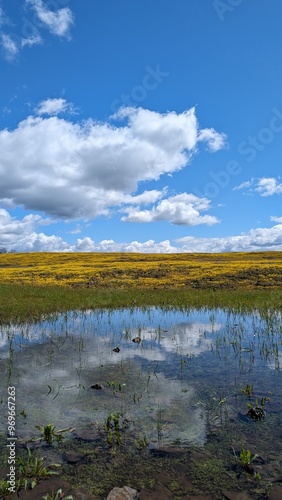 lake and sky