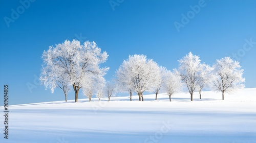 A serene winter landscape featuring snow-covered trees and a clear blue sky, perfect for a calming backdrop