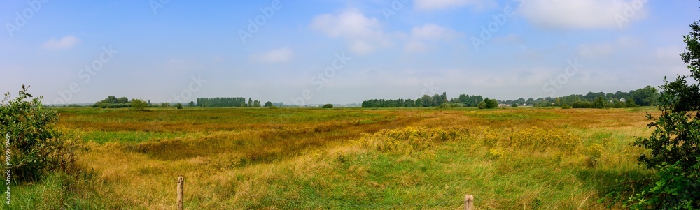 Panoramic view of a vast green and yellow field. Ossendrecht, Netherlands Panoramic view of a vast green and yellow field. Ossendrecht, Netherlands