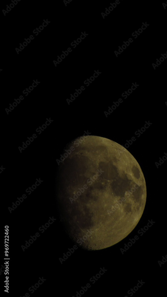 Naklejka premium the moon in the night