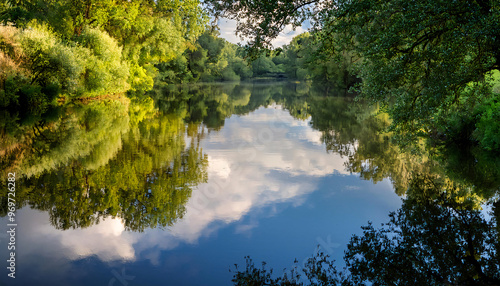 Reflections: Close-Up of the River Surface with Reflections of Overhanging Trees and Sky
