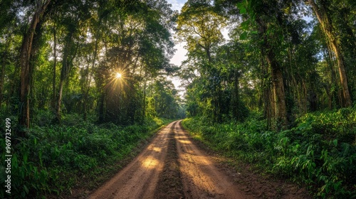 A tranquil dirt road winds through a vibrant forest, with sunlight streaming through the trees, creating a peaceful atmosphere during early evening