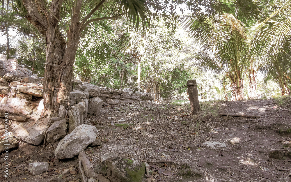 Obraz premium Xaman Ha Maya Ruins archeological site Playa del Carmen Mexico.