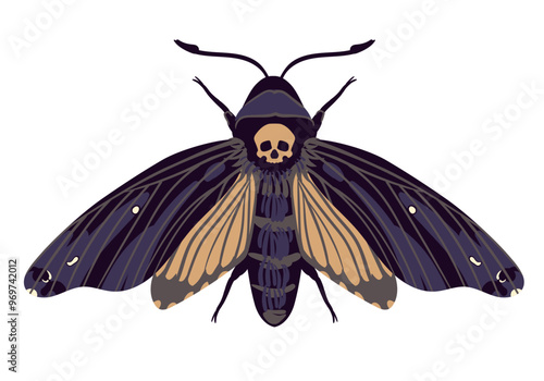 Vector flying butterfly. Hawk moth Dead head . Symbol of mysticism, occultism, magic. Colored moth on a white background.