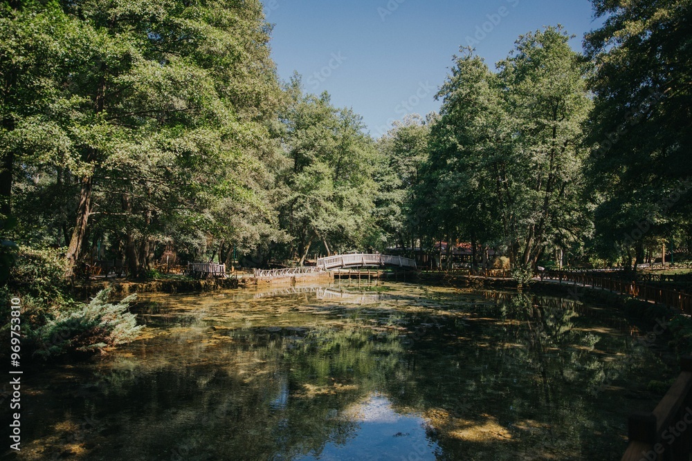 Serene park scene with a reflective pond, wooden bridges, and lush green trees under a blue sky Serene park scene with a reflective pond, wooden bridges, and lush green trees under a blue sky