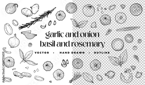 Hand drawn vector outline of vegetables and condiments such as onion, garlic, basil and rosemary. Top and side view of these condiments are easy to edit and ready to use. 