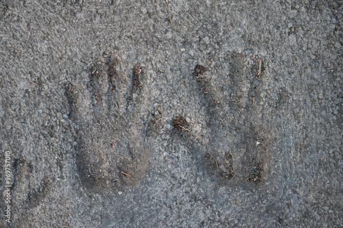 Detail of hands marked in the cement when it was wet photo