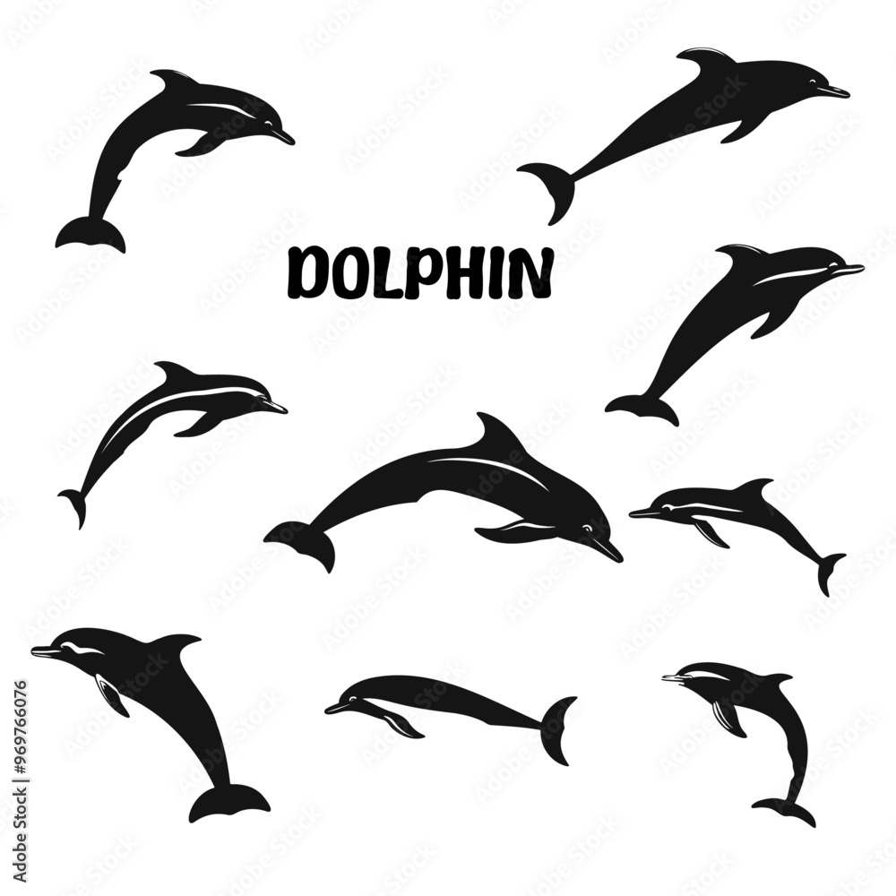 Fototapeta premium Dolphin Silhouette vector