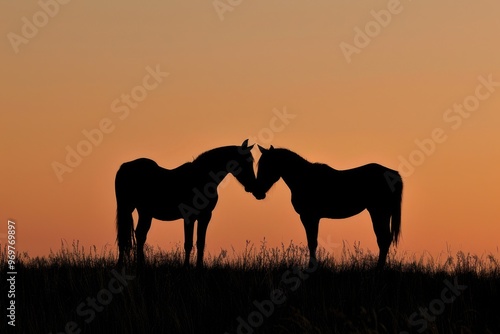 Two horses stand facing each other in a field at sunset, their silhouettes outlined against the fiery sky