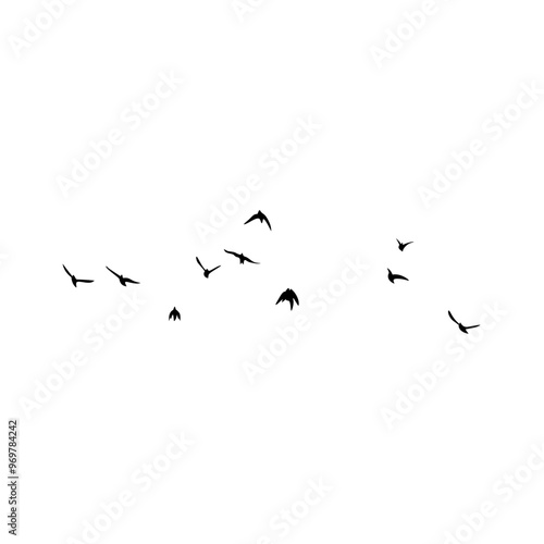 Flock of birds flying silhouette