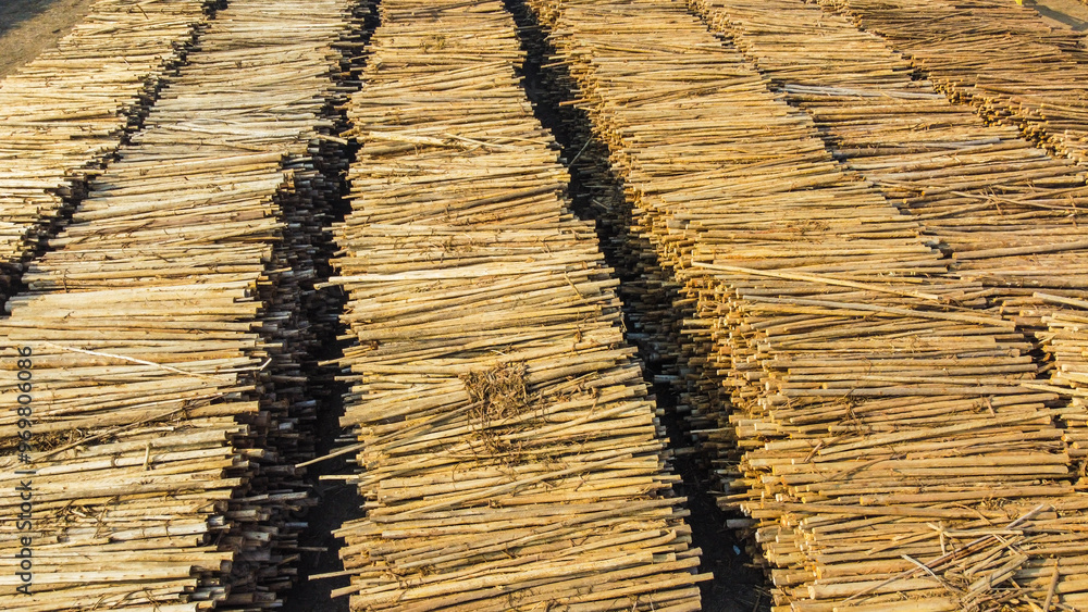 estoque de madeira para a produção de papel e celulose no brasil estoque de madeira para a produção de papel e celulose no brasil