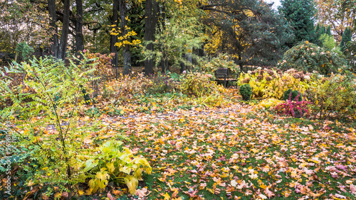 Decorative garden in the countryside in autumn, there are many fallen colorful leaves everywhere, both on the grass and on the plants and on the wooden bench.