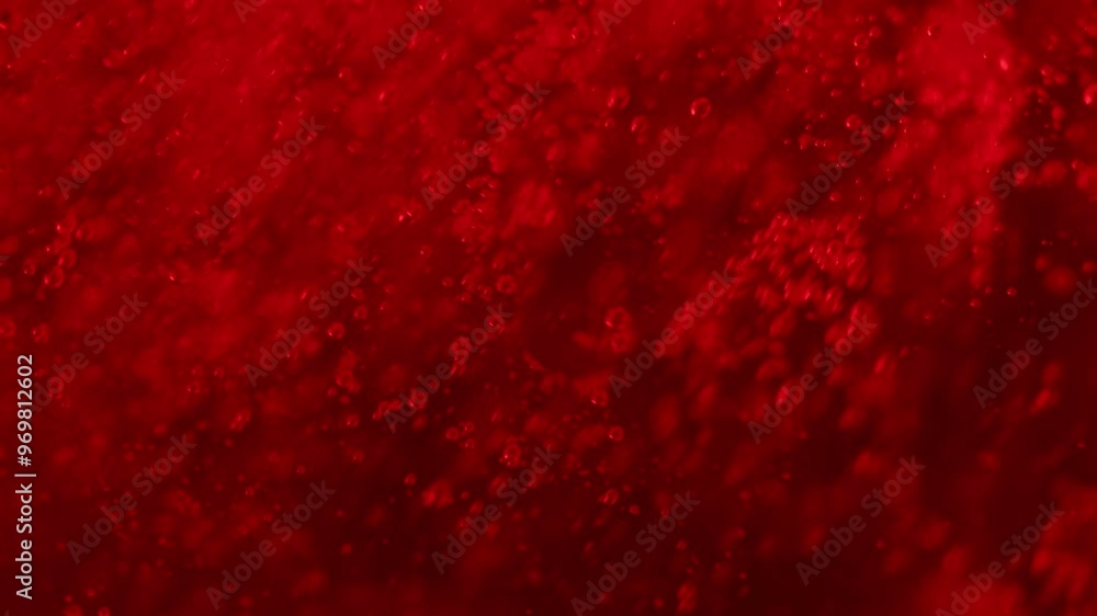 Red bubbles slowly rise up, red dark liquid Red bubbles slowly rise up, red dark liquid