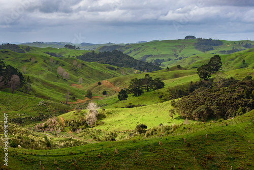 Green hills landscape. New Zealand