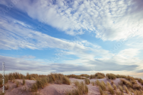 Sand dunes with grasses and a blue sky with a few clouds on the Dutch coast near Scheveningen in The Netherlands