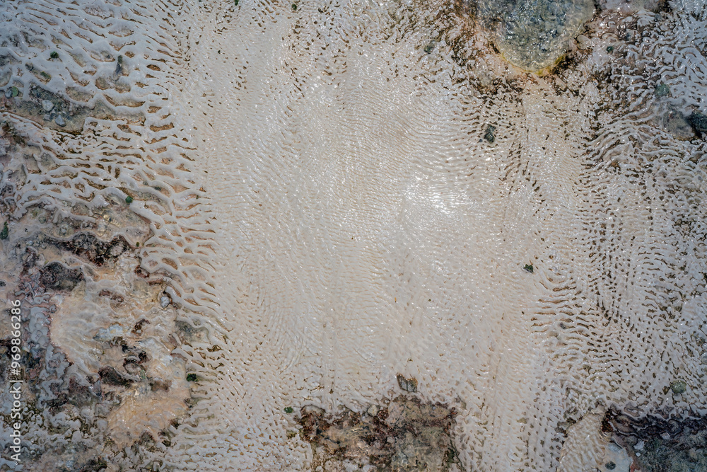 A close-up of Pamukkale's geological formations, featuring a smooth, white surface with intricate patterns and textures. The image showcases the delicate beauty of the calcium carbonate deposits.