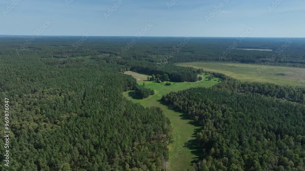 View of lush green forest from top. View of lush green forest from top.