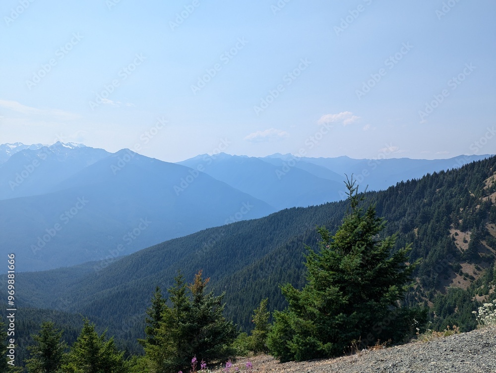 Fototapeta premium landscape in the mountains