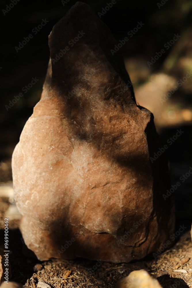 Stones in the sunlight. Ancient rocks standing in a forest. Sedimentary rocks. Stones in the sunlight. Ancient rocks standing in a forest. Sedimentary rocks.