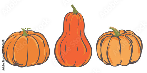 Set of vector simple autumn pumpkins. Three hand drawn pumpkins in warm natural colors isolated on white. Illustration for Halloween, Thanksgiving design elements. Flat style.