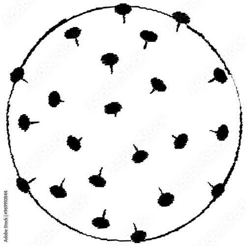 Virus
